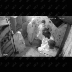 علیرضا حنیفی