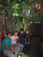 کسرا حجازی