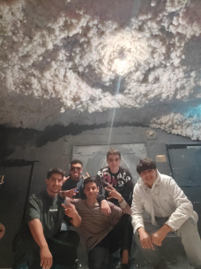 پارسا زینالی