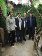 پارسا ریاحی