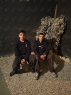 ایلیا حسین پور