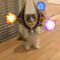 Catvoker